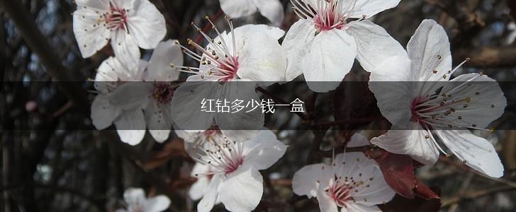 红钻多少钱一盒,第1张