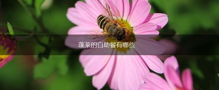 蓬莱的自助餐有哪些,第1张