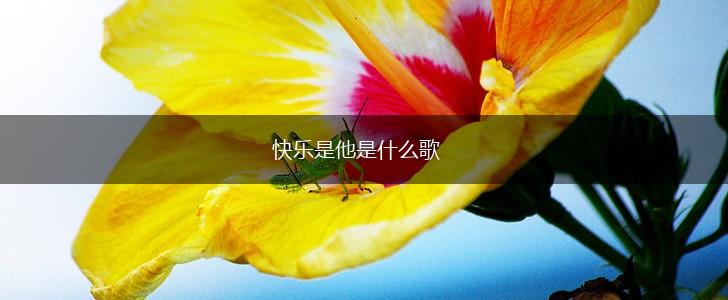 快乐是他是什么歌,第1张