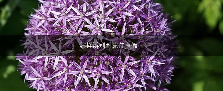 怎样辨别耐克鞋真假,第1张