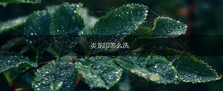 炎龙印怎么洗,第1张