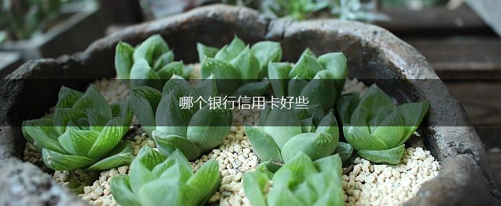 哪个银行信用卡好些,第1张