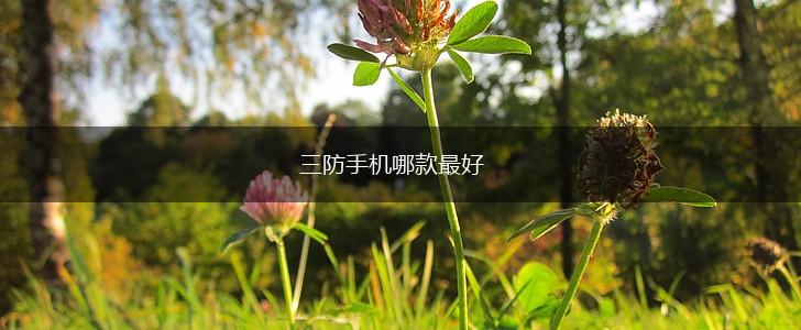 三防手机哪款最好,第1张