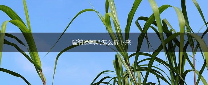 瑞纳换喇叭怎么拆下来,第1张