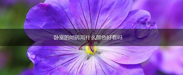 卧室的地砖用什么颜色好看吗,第1张