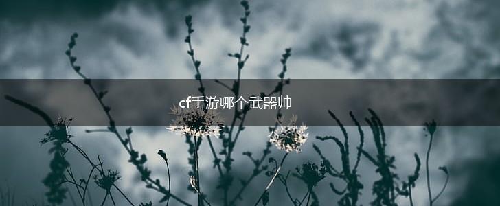 cf手游哪个武器帅,第1张