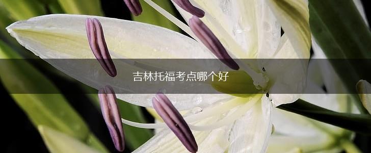吉林托福考点哪个好,第1张