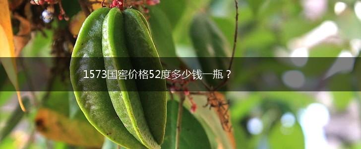 1573国窖价格52度多少钱一瓶？,第1张