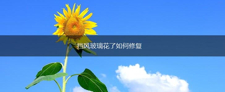 挡风玻璃花了如何修复,第1张