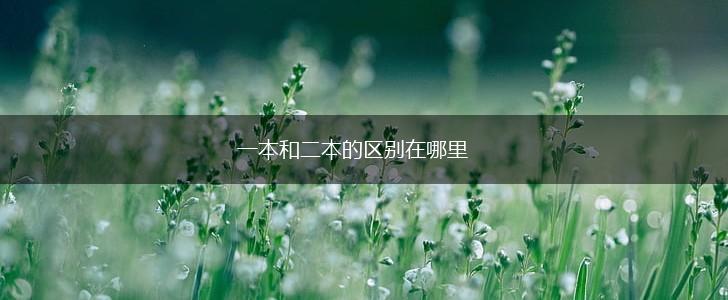 一本和二本的区别在哪里,第1张