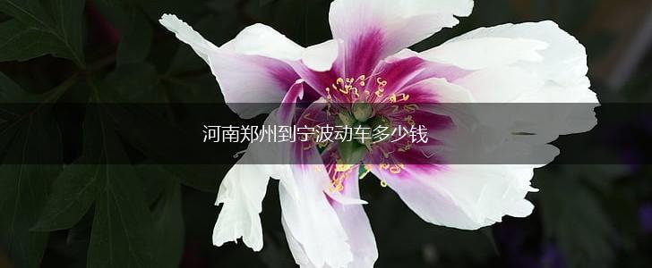 河南郑州到宁波动车多少钱,第1张