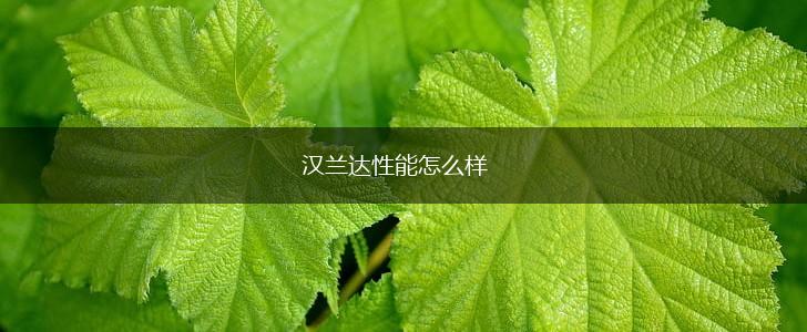 汉兰达性能怎么样,第1张