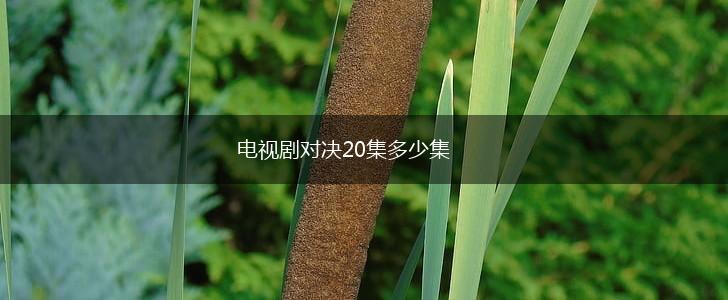 电视剧对决20集多少集,第1张
