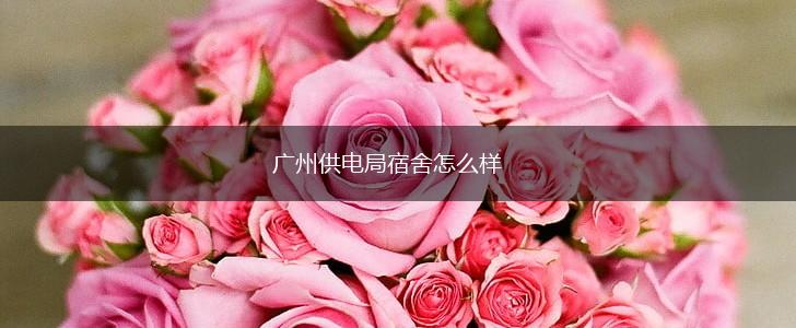 广州供电局宿舍怎么样,第1张