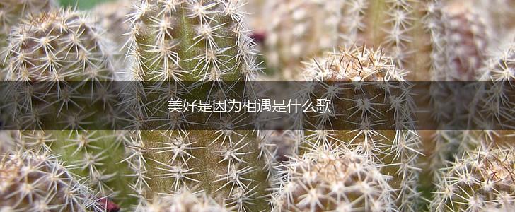 美好是因为相遇是什么歌,第1张