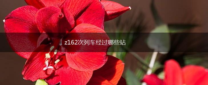 z162次列车经过哪些站,第1张