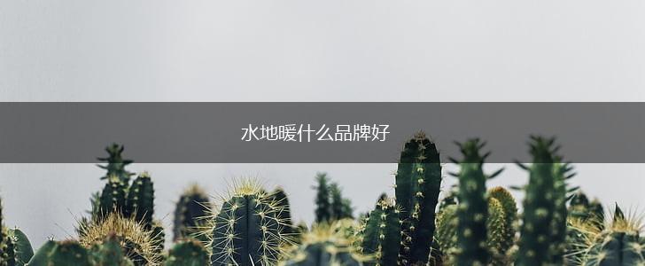水地暖什么品牌好,第1张