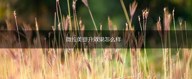 微拉美提升效果怎么样,第1张