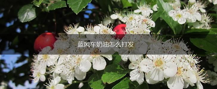 蓝风车奶油怎么打发,第1张