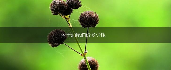 今年汕尾油价多少钱,第1张