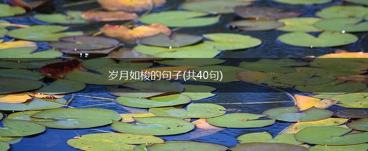 岁月如梭的句子(共40句),第1张