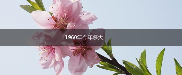 1960年今年多大,第1张