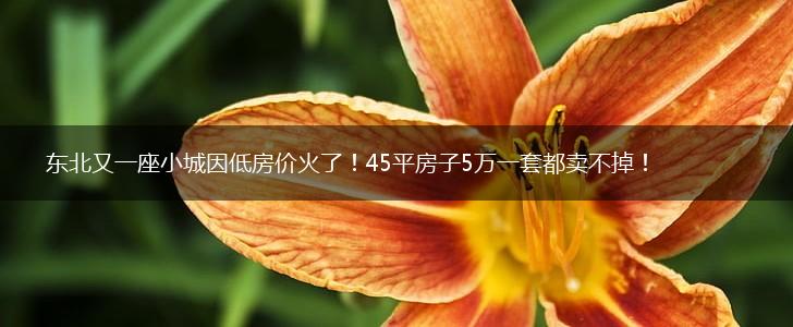 东北又一座小城因低房价火了！45平房子5万一套都卖不掉！,第1张