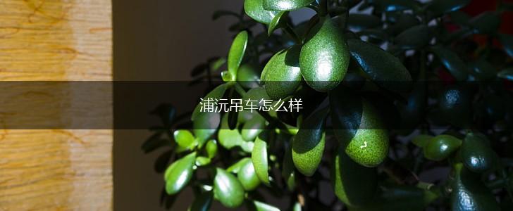 浦沅吊车怎么样,第1张