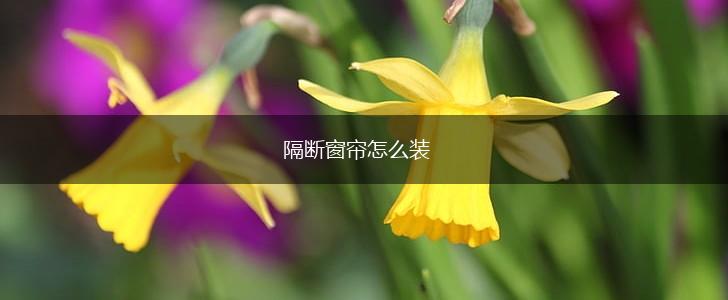 隔断窗帘怎么装,第1张