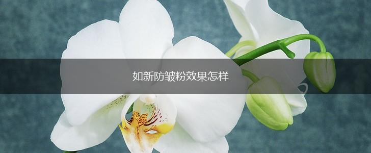 如新防皱粉效果怎样,第1张