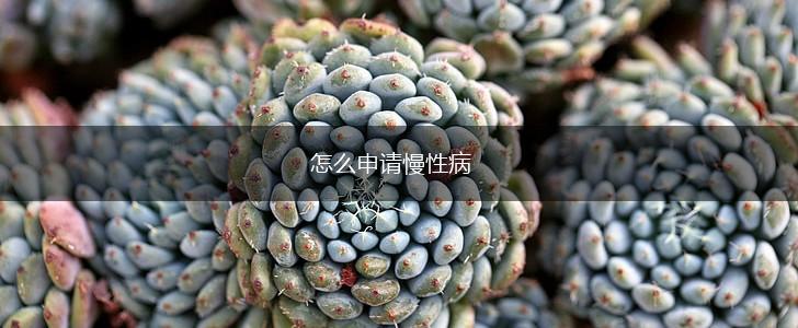 怎么申请慢性病,第1张