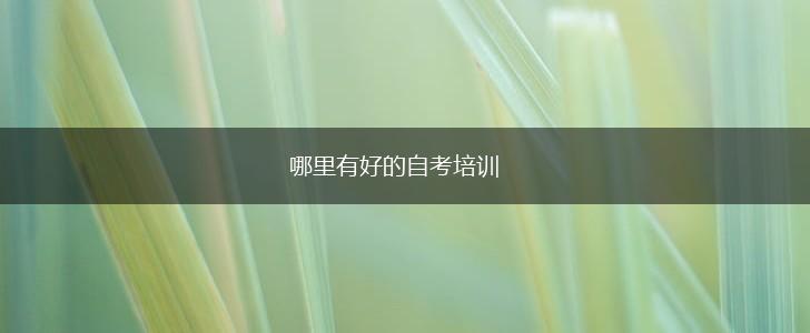 哪里有好的自考培训,第1张