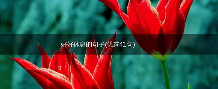 好好休息的句子(优选41句),第1张