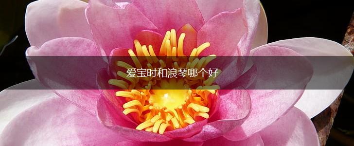 爱宝时和浪琴哪个好,第1张