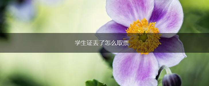学生证丢了怎么取票,第1张