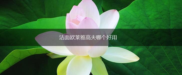 洁面欧莱雅高夫哪个好用,第1张