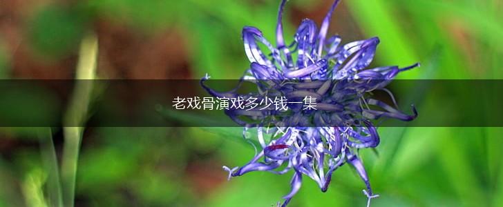 老戏骨演戏多少钱一集,第1张