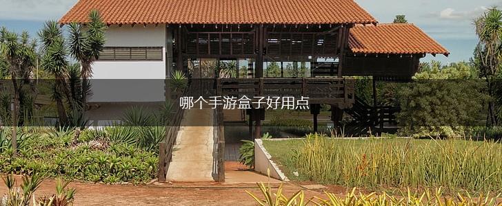 哪个手游盒子好用点,第1张