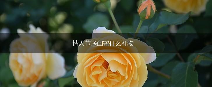 情人节送闺蜜什么礼物,第1张