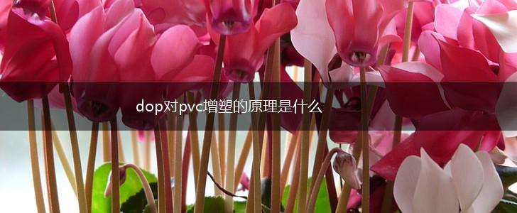 dop对pvc增塑的原理是什么,第1张