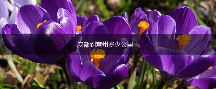 成都到常州多少公里,第1张