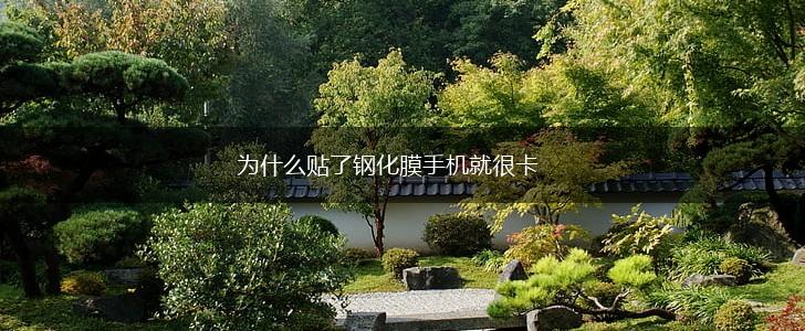 为什么贴了钢化膜手机就很卡,第1张