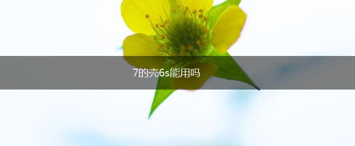 7的壳6s能用吗,第1张