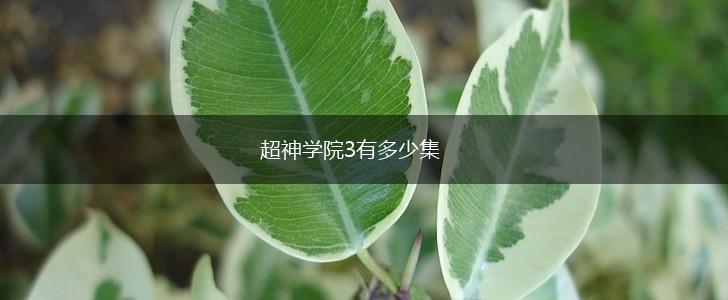 超神学院3有多少集,第1张