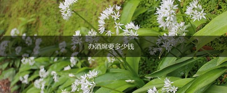 办酒席要多少钱,第1张