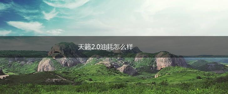 天籁2.0油耗怎么样,第1张