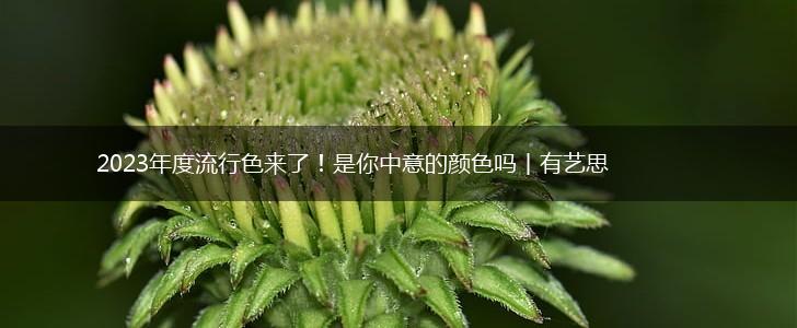 2023年度流行色来了！是你中意的颜色吗丨有艺思,第1张