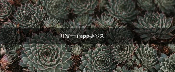 开发一个app要多久,第1张