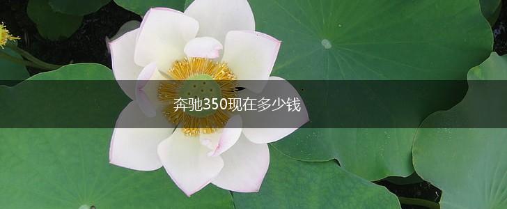 奔驰350现在多少钱,第1张