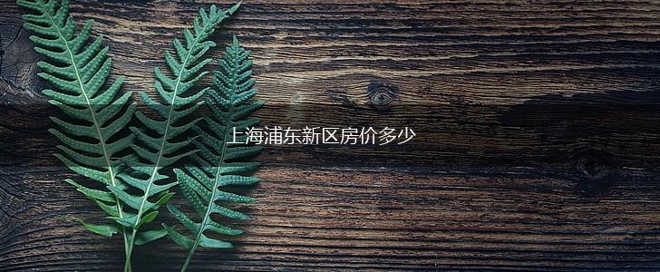 上海浦东新区房价多少,第1张
